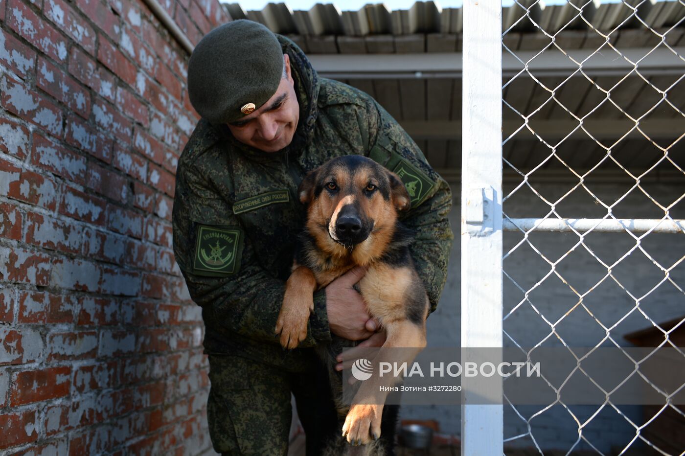Тренировка служебных караульных собак в Абхазии