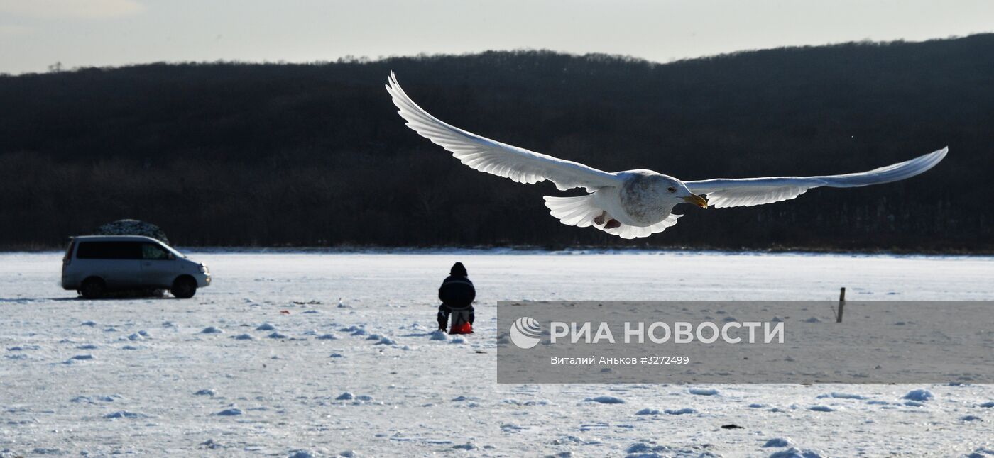 Зима на острове Русский