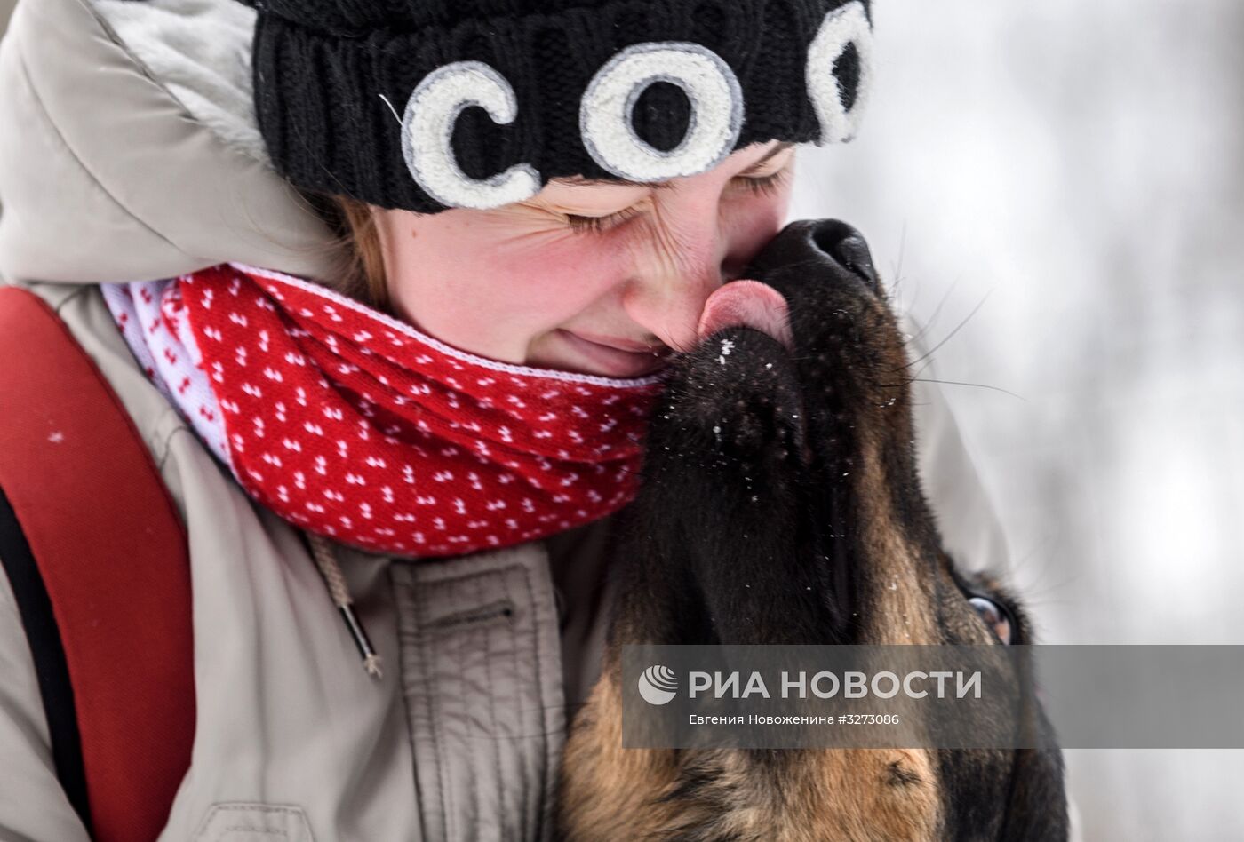 Открытие кинологического стадиона "Сокольники"