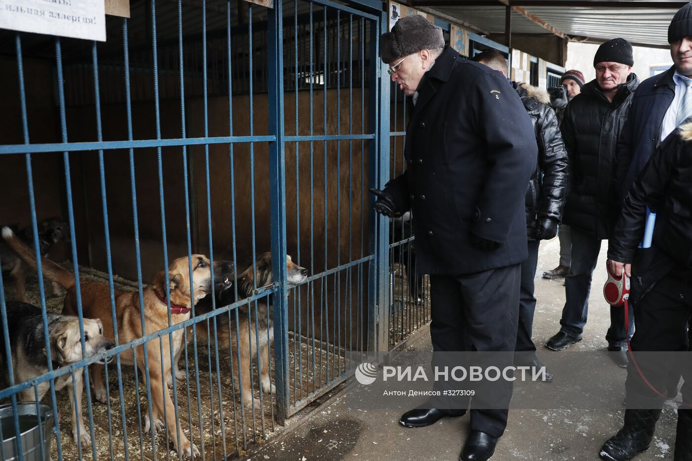 Лидер ЛДПР В. Жириновский посетил приют для бездомных собак "Красная сосна"