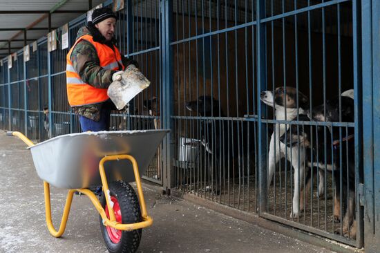 Лидер ЛДПР В. Жириновский посетил приют для бездомных собак "Красная сосна"