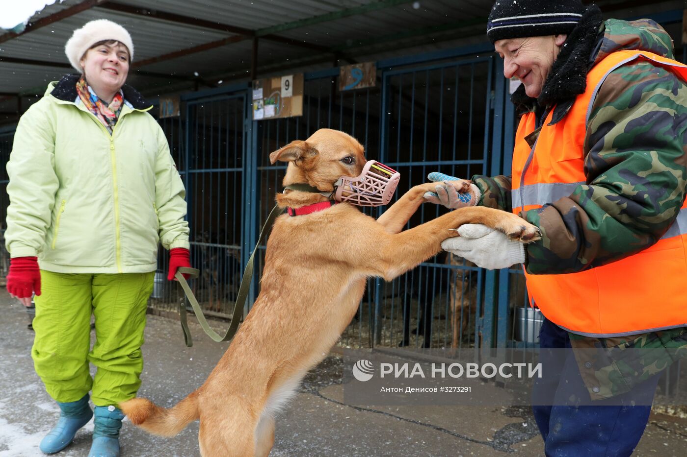 Лидер ЛДПР В. Жириновский посетил приют для бездомных собак "Красная сосна"