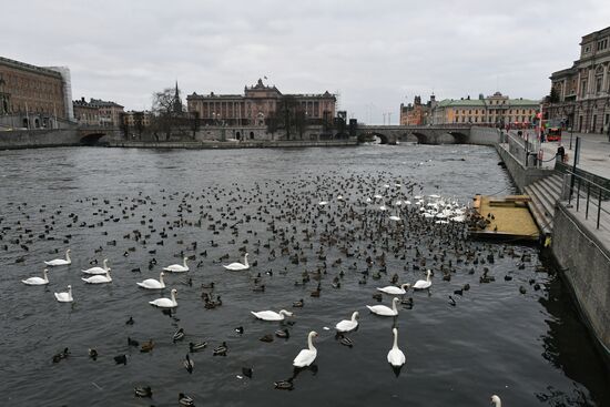 Города мира. Стокгольм