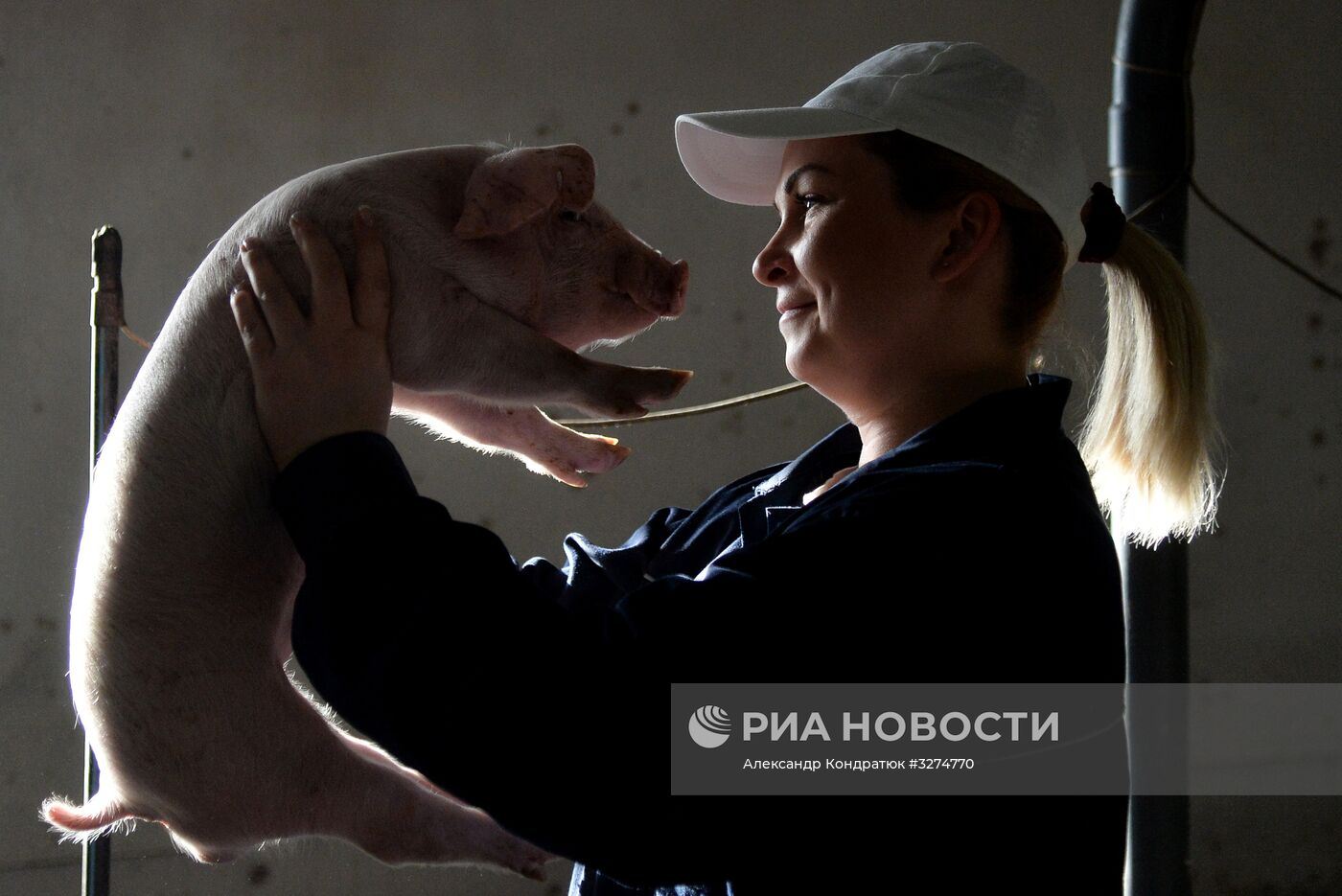 Родниковский свинокомплекс в Челябинской области