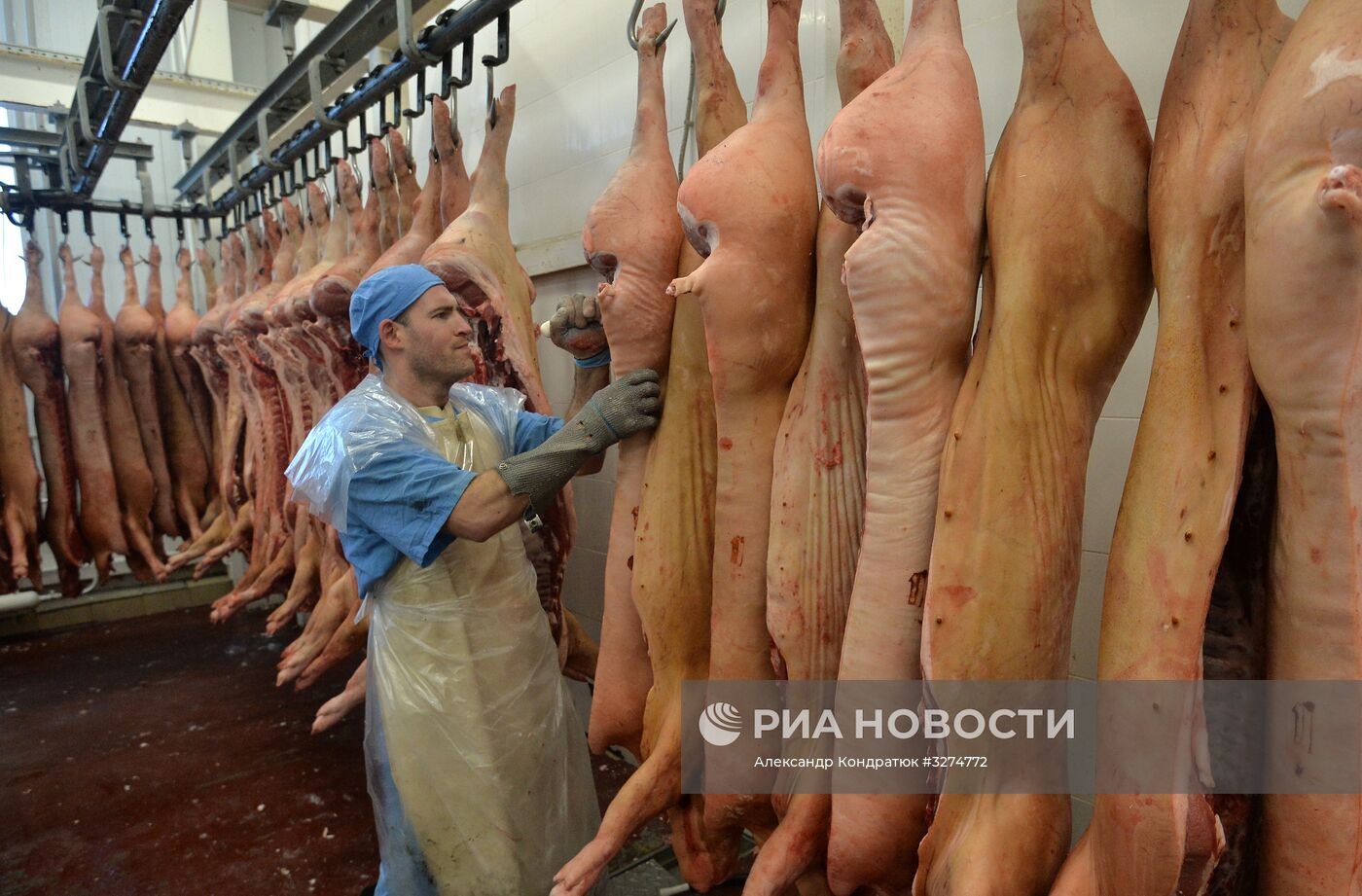 Родниковский свинокомплекс в Челябинской области