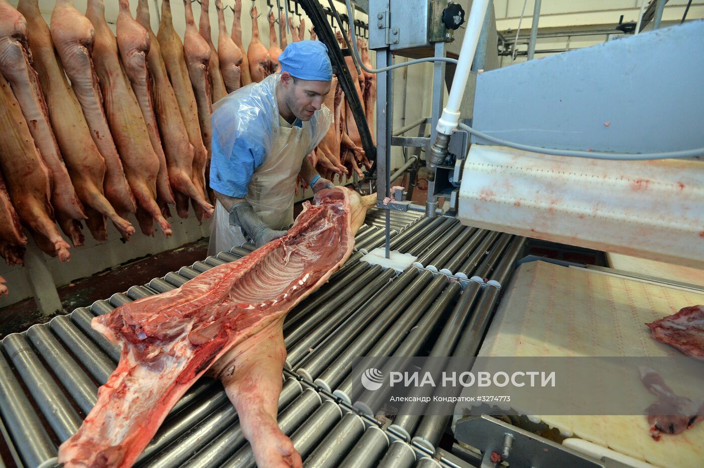 Родниковский свинокомплекс в Челябинской области