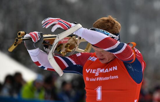 Биатлон. VI этап Кубка мира. Мужчины. Гонка преследования