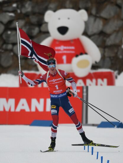 Биатлон. VI этап Кубка мира. Мужчины. Гонка преследования