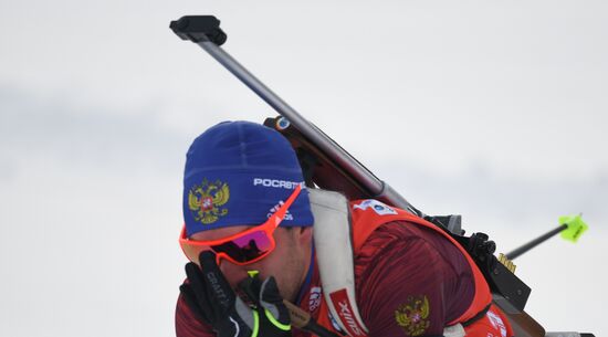 Биатлон. VI этап Кубка мира. Мужчины. Гонка преследования