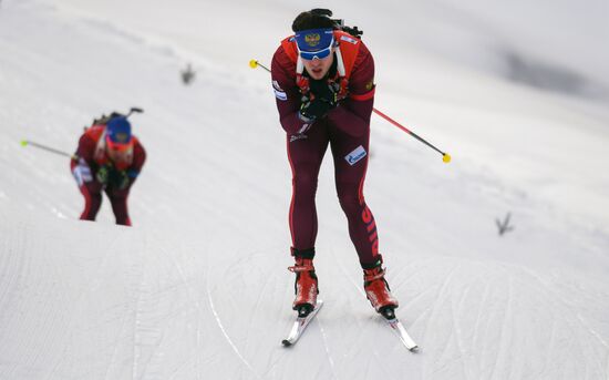 Биатлон. VI этап Кубка мира. Мужчины. Гонка преследования