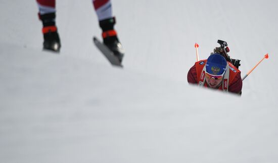 Биатлон. VI этап Кубка мира. Мужчины. Гонка преследования