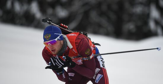 Биатлон. VI этап Кубка мира. Мужчины. Гонка преследования