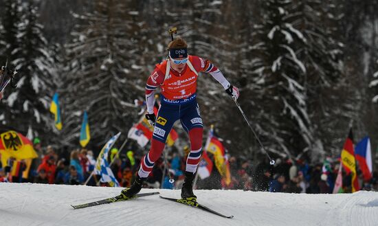 Биатлон. VI этап Кубка мира. Мужчины. Гонка преследования