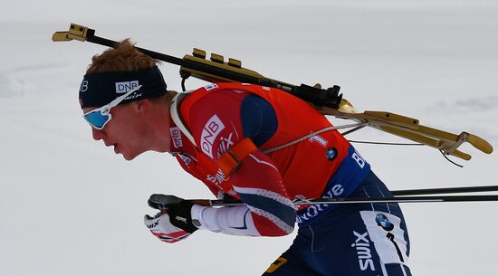 Биатлон. VI этап Кубка мира. Мужчины. Гонка преследования