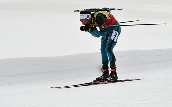 Биатлон. VI этап Кубка мира. Мужчины. Гонка преследования