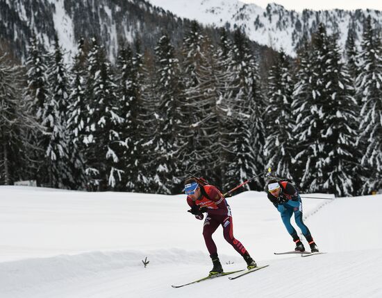 Биатлон. VI этап Кубка мира. Мужчины. Гонка преследования