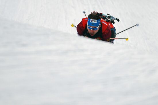 Биатлон. VI этап Кубка мира. Мужчины. Гонка преследования