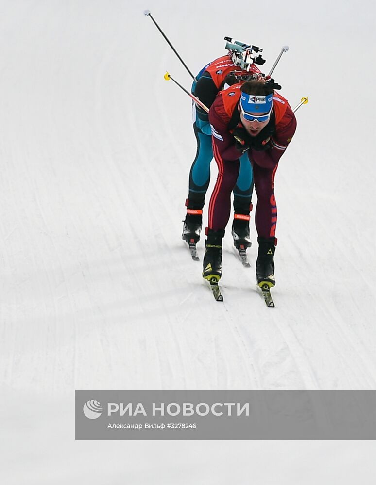 Биатлон. VI этап Кубка мира. Мужчины. Гонка преследования