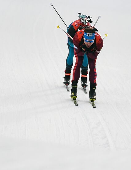 Биатлон. VI этап Кубка мира. Мужчины. Гонка преследования