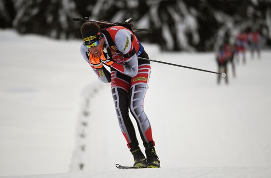 Биатлон. VI этап Кубка мира. Мужчины. Гонка преследования