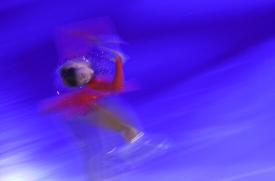 Фигурное катание. Чемпионат Европы. Показательные выступления