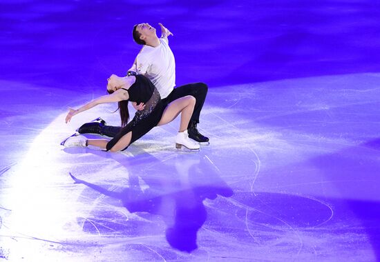 Фигурное катание. Чемпионат Европы. Показательные выступления