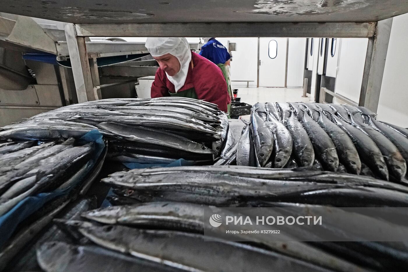 Рыбоперерабатывающий комплекс "Корат" в Калининградской области