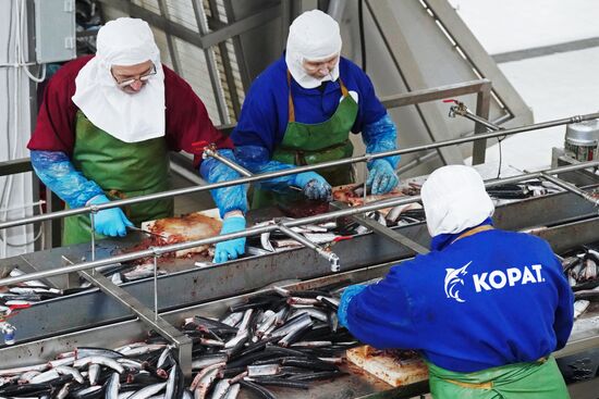 Рыбоперерабатывающий комплекс "Корат" в Калининградской области