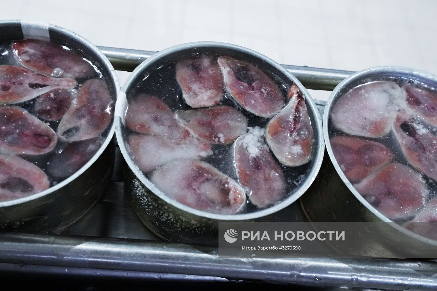 Рыбоперерабатывающий комплекс "Корат" в Калининградской области