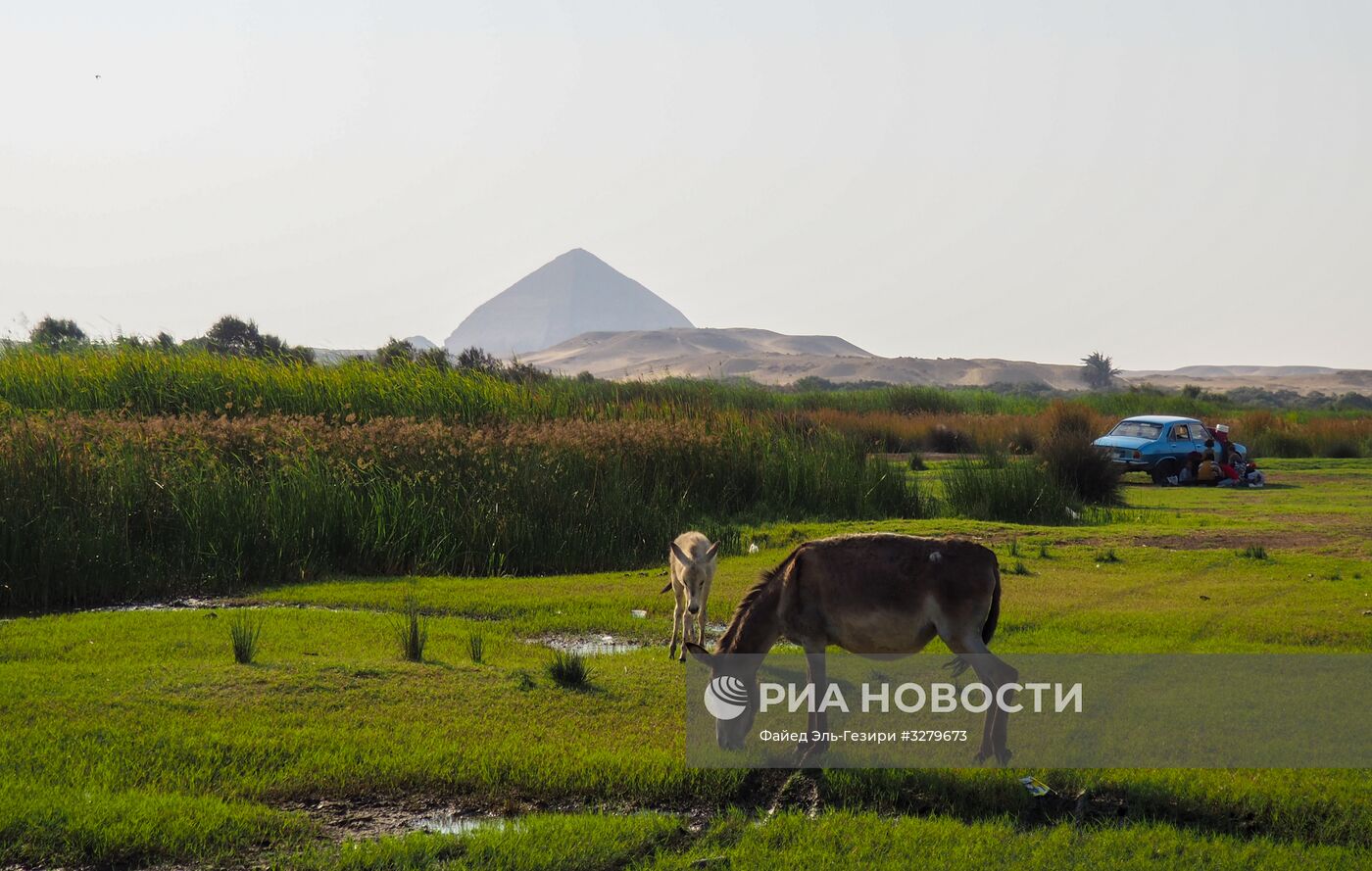 Города мира. Каир