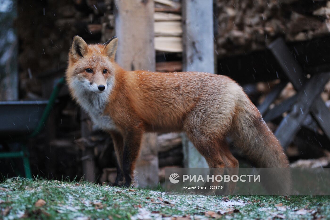 Курильский заповедник