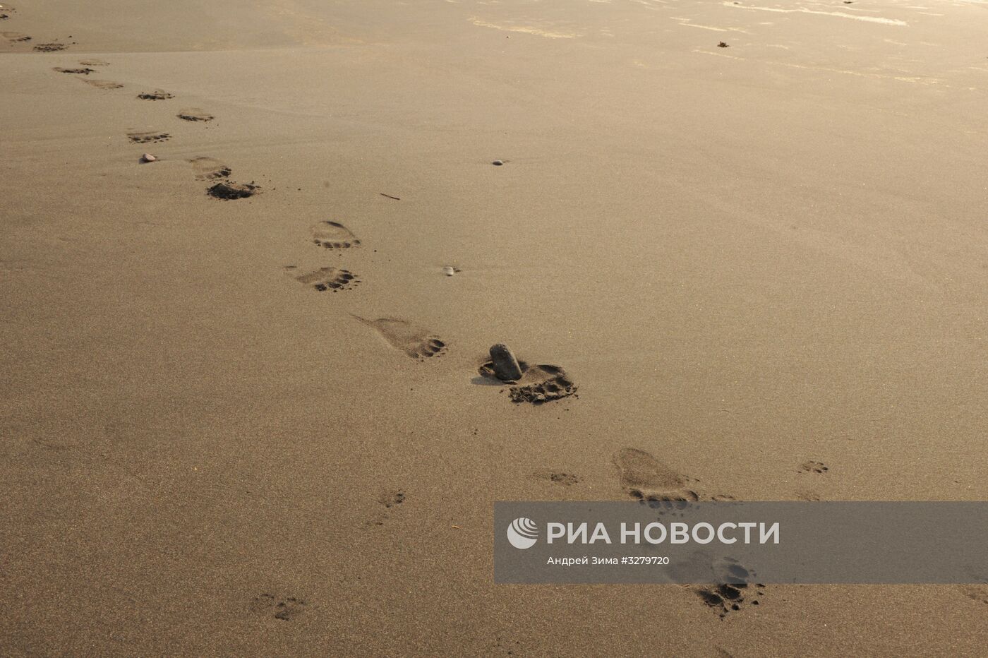 Курильский заповедник