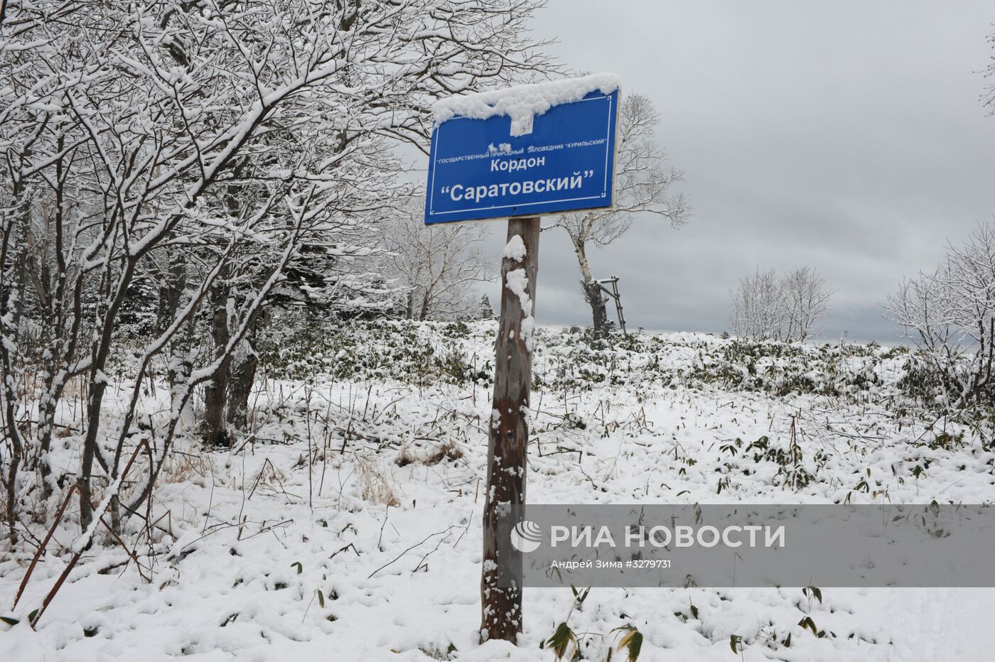 Курильский заповедник