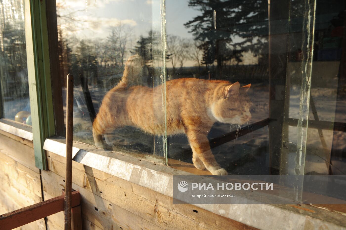 Курильский заповедник