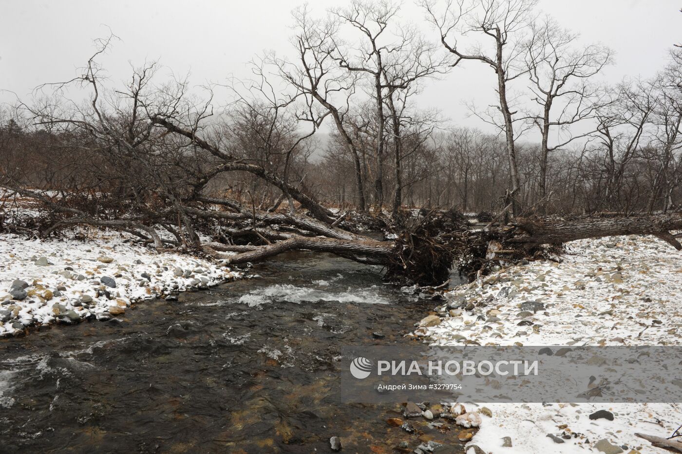 Курильский заповедник