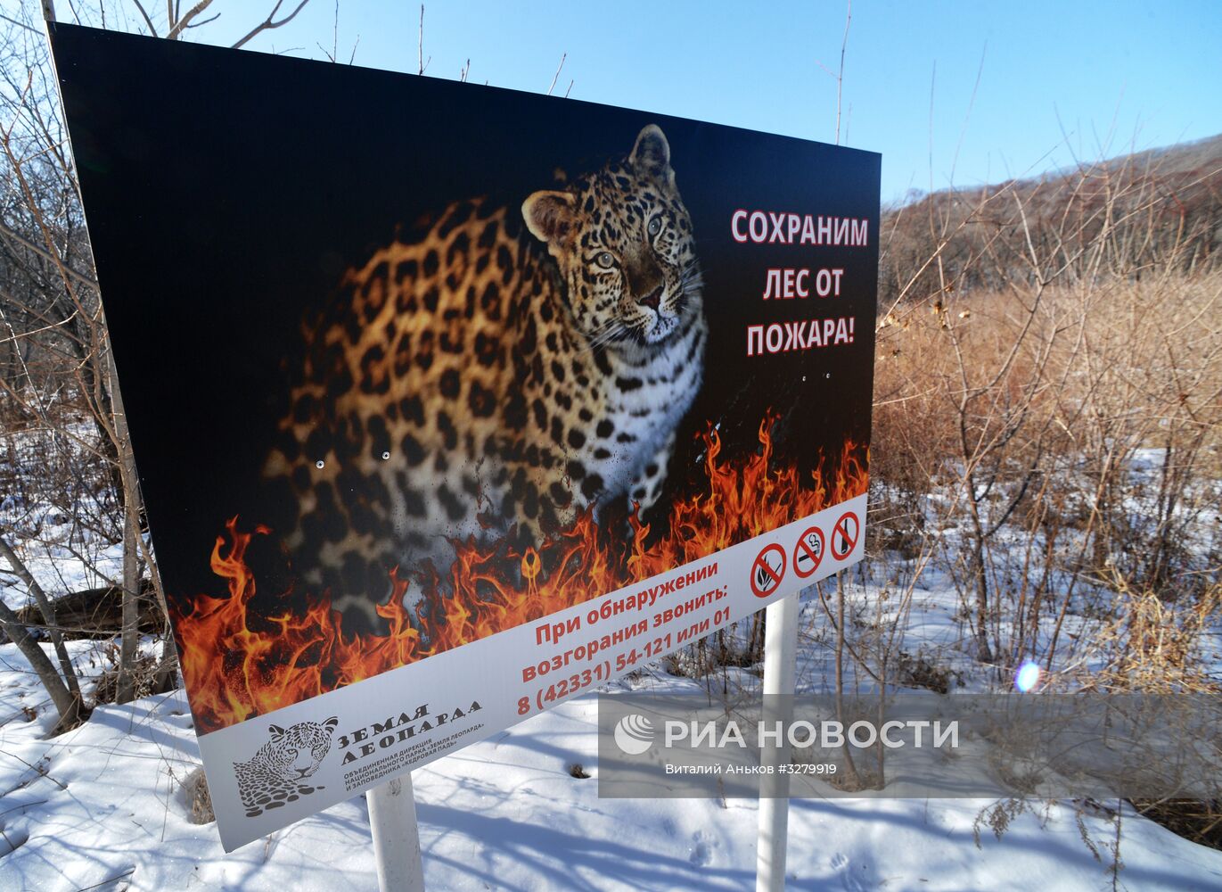 Национальный парк "Земля леопарда" в Приморье