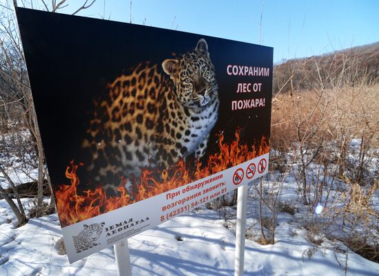 Национальный парк "Земля леопарда" в Приморье
