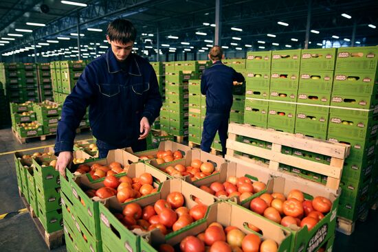 Тепличный комплекс "Зеленая линия" в Краснодарском крае