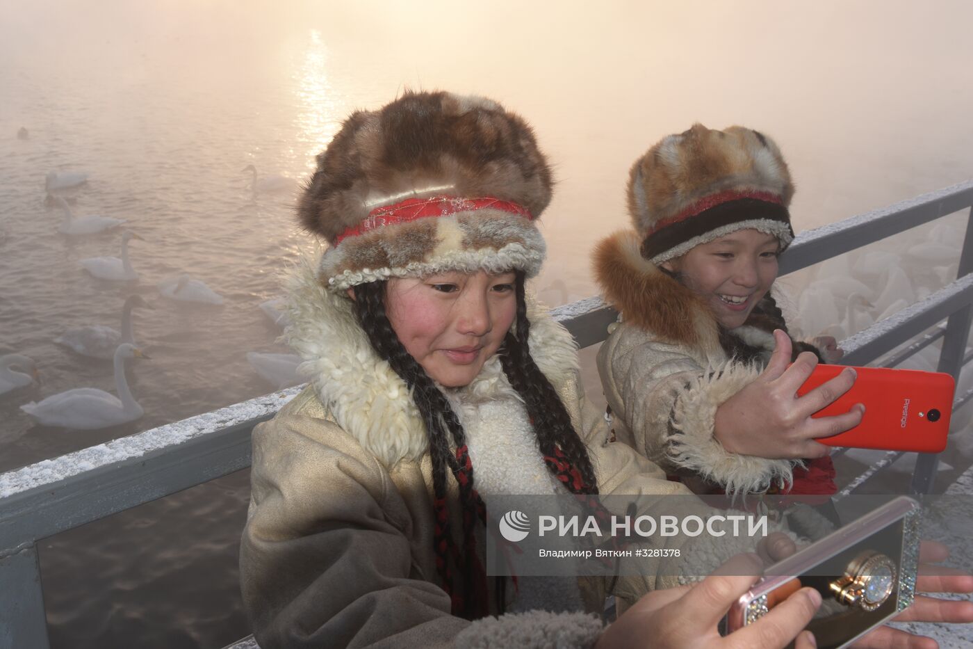 Государственный природный комплексный заказник "Лебединый"