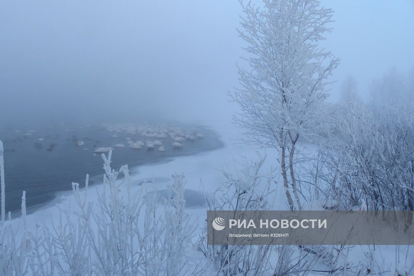 Государственный природный комплексный заказник "Лебединый"