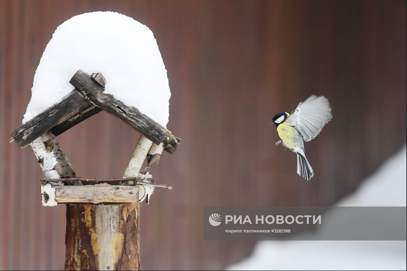 Повседневная жизнь