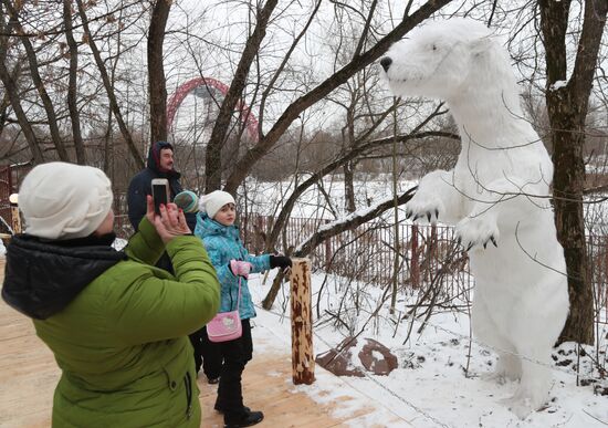 Открытие Ice Парка