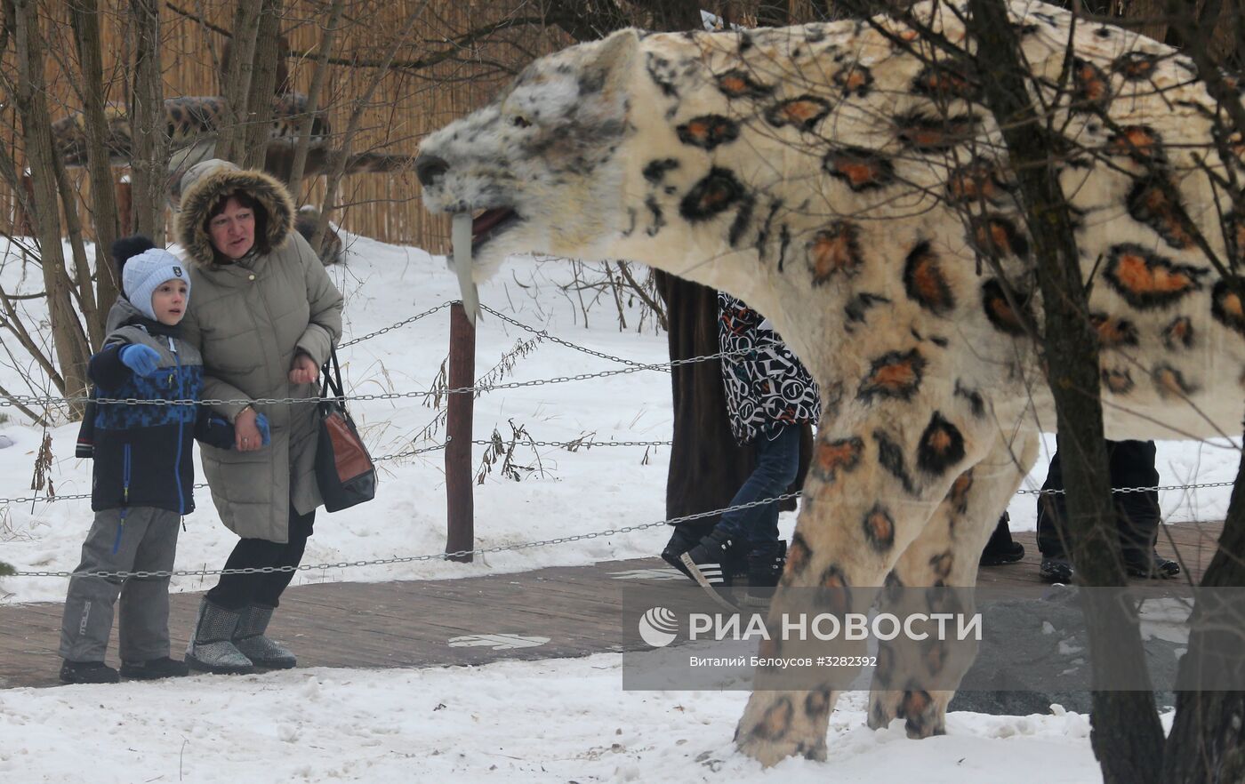 Открытие Ice Парка