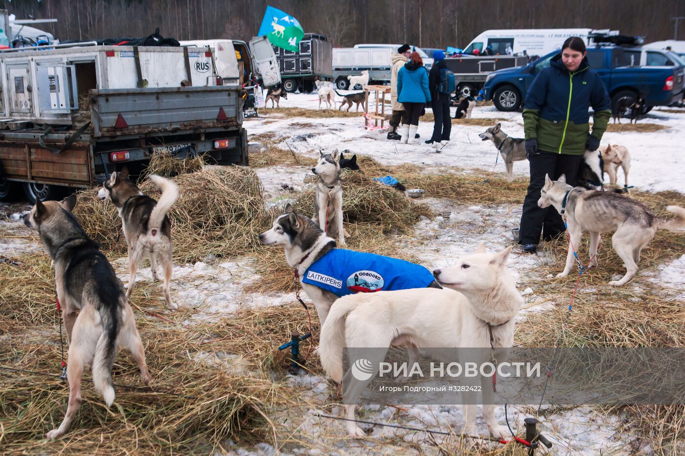 Соревнования по гонкам на собачьих упряжках "По земле Сампо" в Петрозаводске