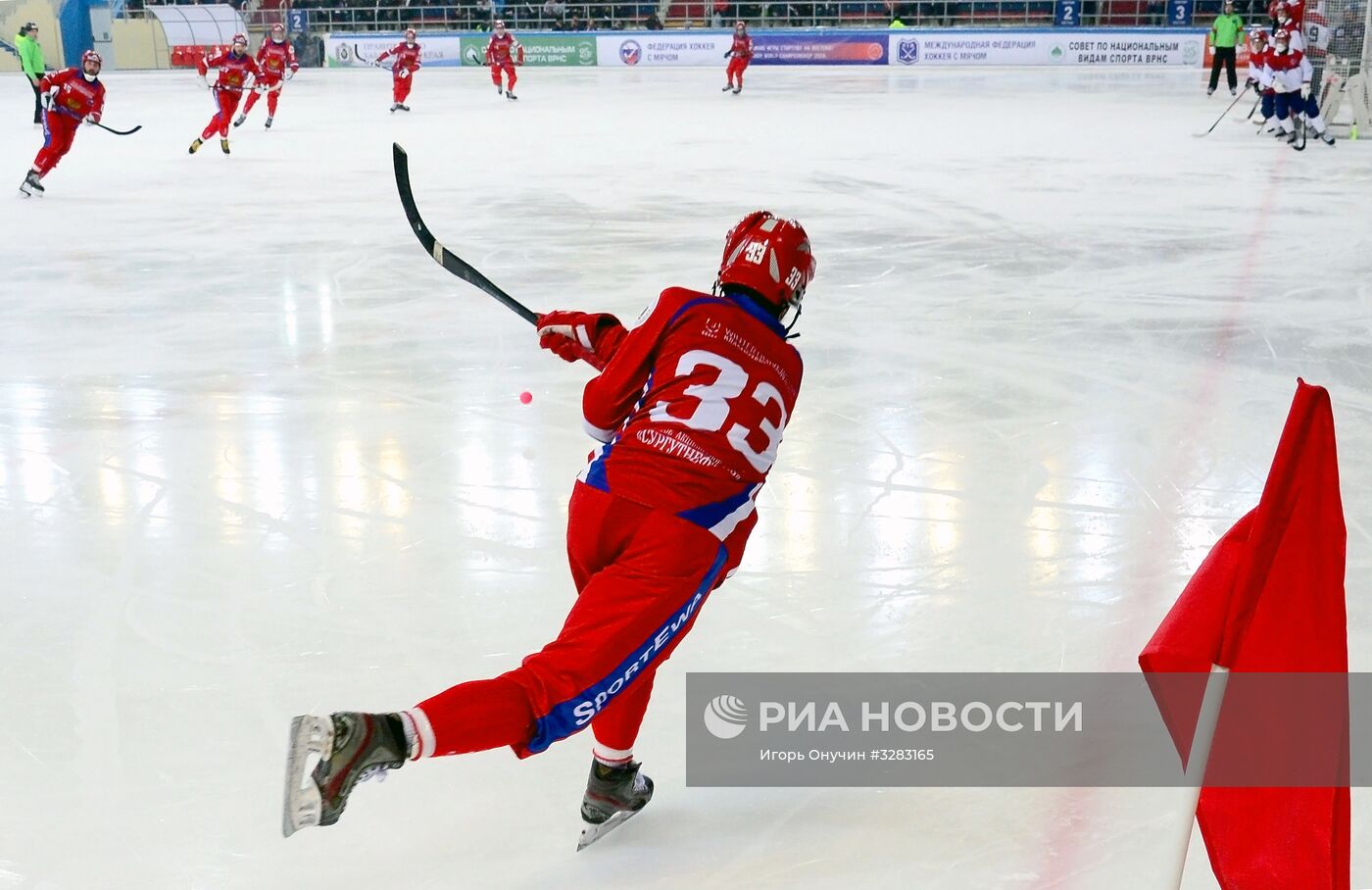 Хоккей с мячом. Чемпионат мира. Матч Россия - Норвегия