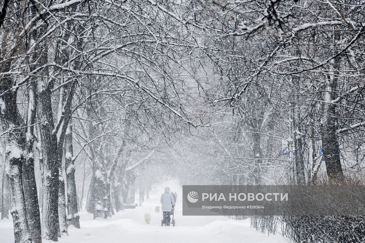 Снегопад в Москве