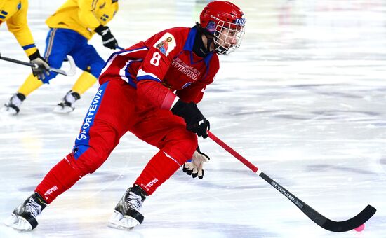 Хоккей с мячом. Чемпионат мира. Матч Швеция - Россия