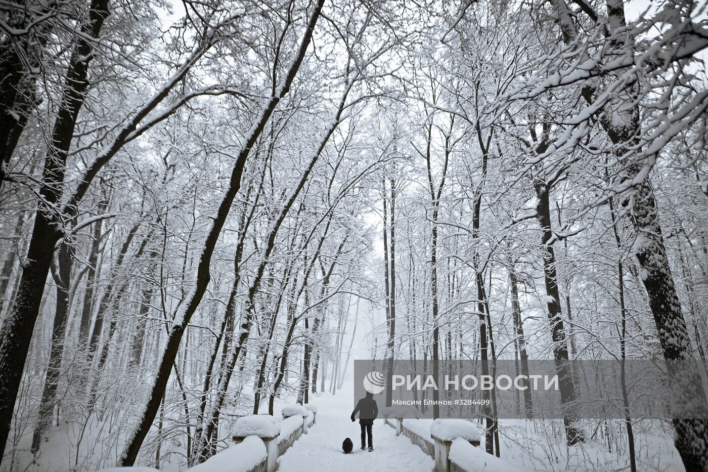 Снегопад в Москве