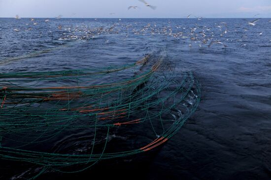 Рыбный промысел в районе острова Кунашир