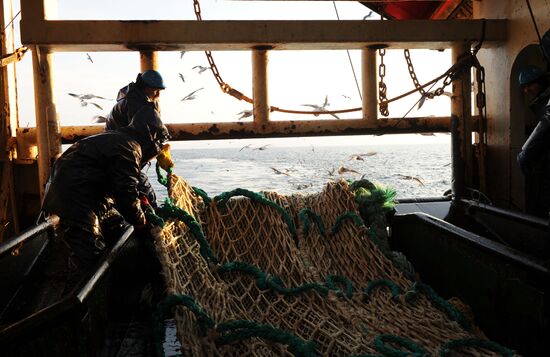 Рыбный промысел в районе острова Кунашир